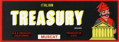 Italian Treasury
